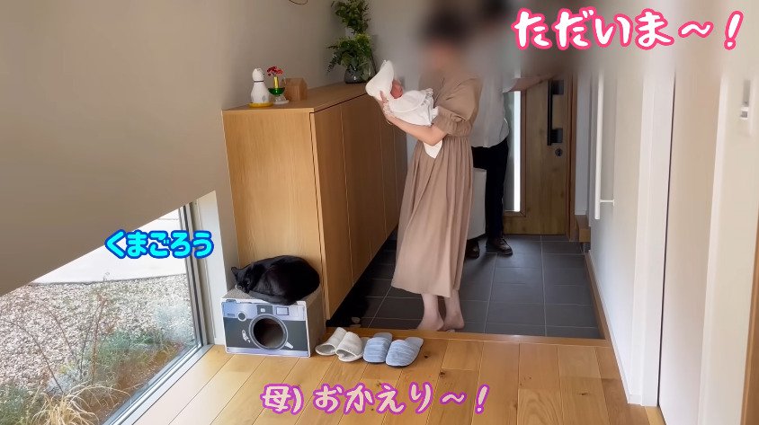 玄関で寝ている猫