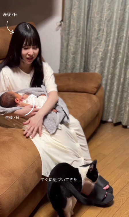 赤ちゃんを抱いた母親と猫