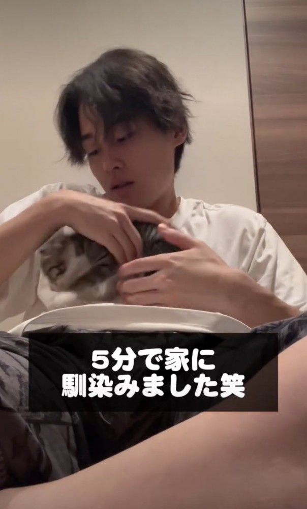 馴染む黒猫