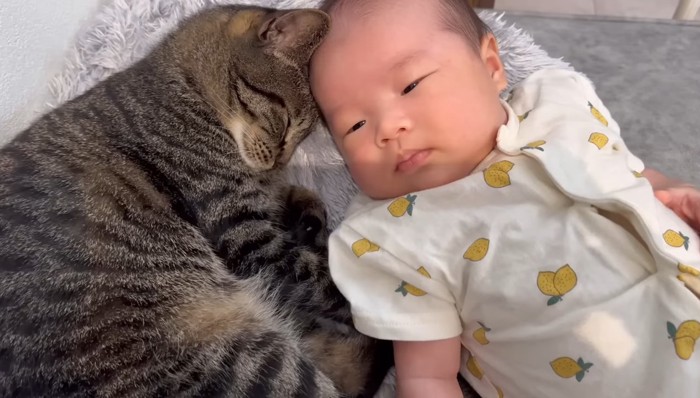 添い寝のアップ