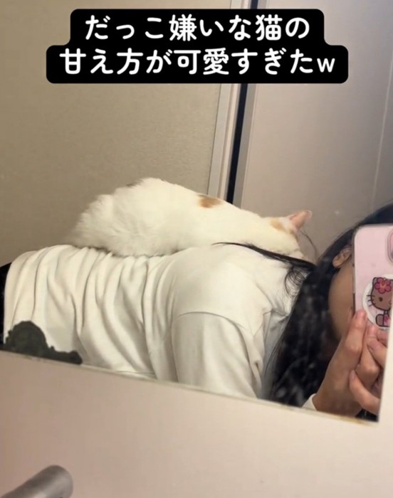 眠そうな猫