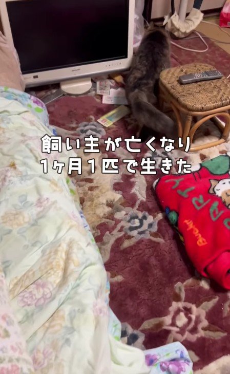 家に取り残された犬くん