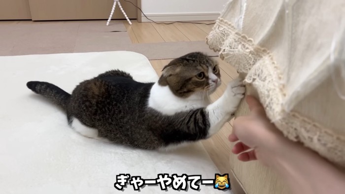 止めに入るママさん