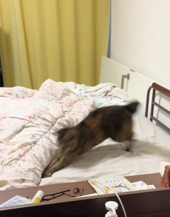 ヘアゴムを掴むあめちゃん