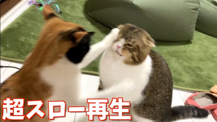 超スロー再生左パンチ