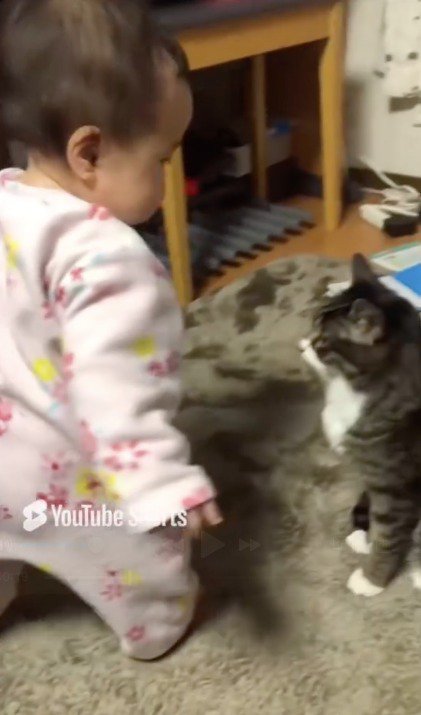 猫の前で立ち上がる赤ちゃん