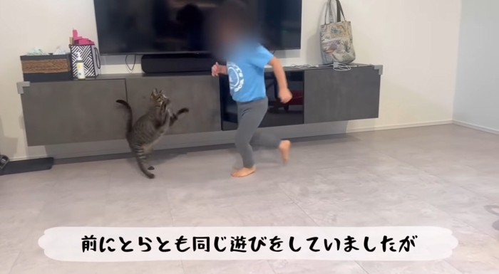 走り回りながら猫と遊ぶ女の子