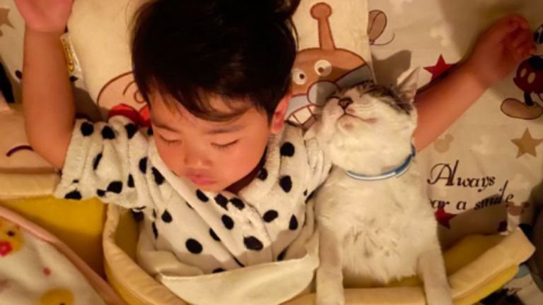 寝ている子どもと猫