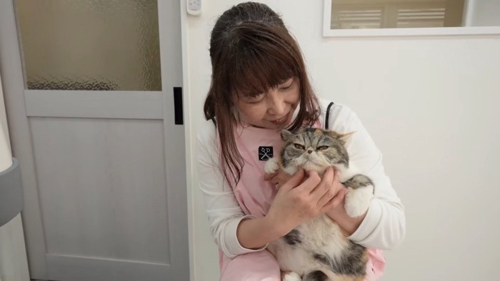 抱っこされ顔をなでられる猫