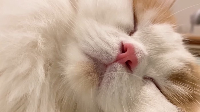 寝顔