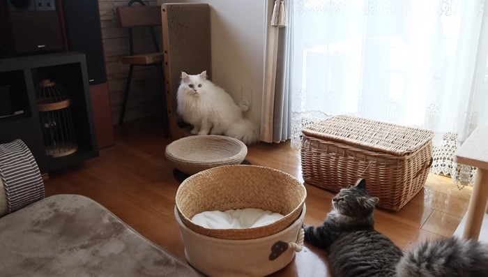 側にいるふたり