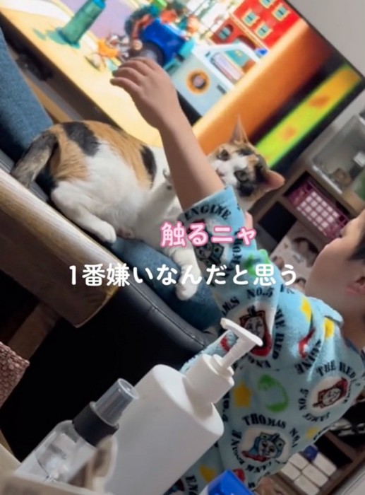 男の子を前足で遠ざける猫