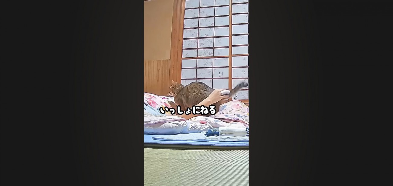 いっしょにねる