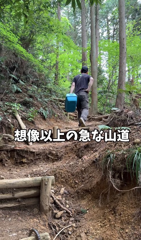 キャリーを持って登山している保護主