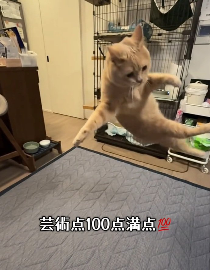 ジャンプしながら回転する桐くん