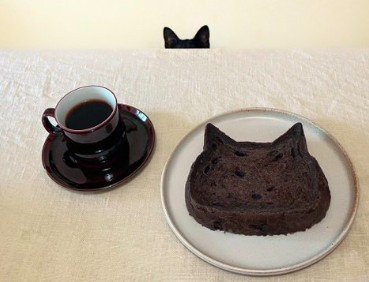 人間のおやつと耳だけ出している猫