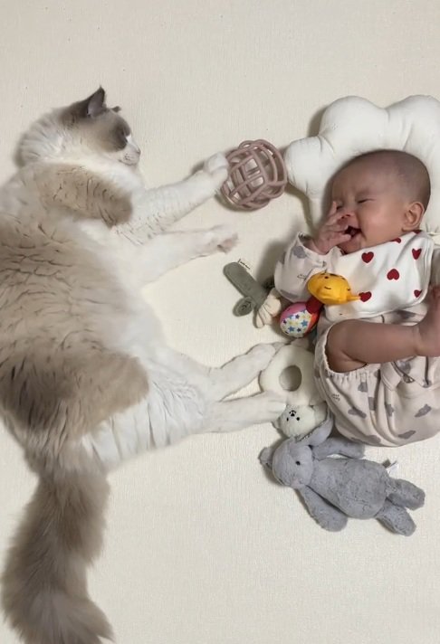 寝転がっている赤ちゃんと猫