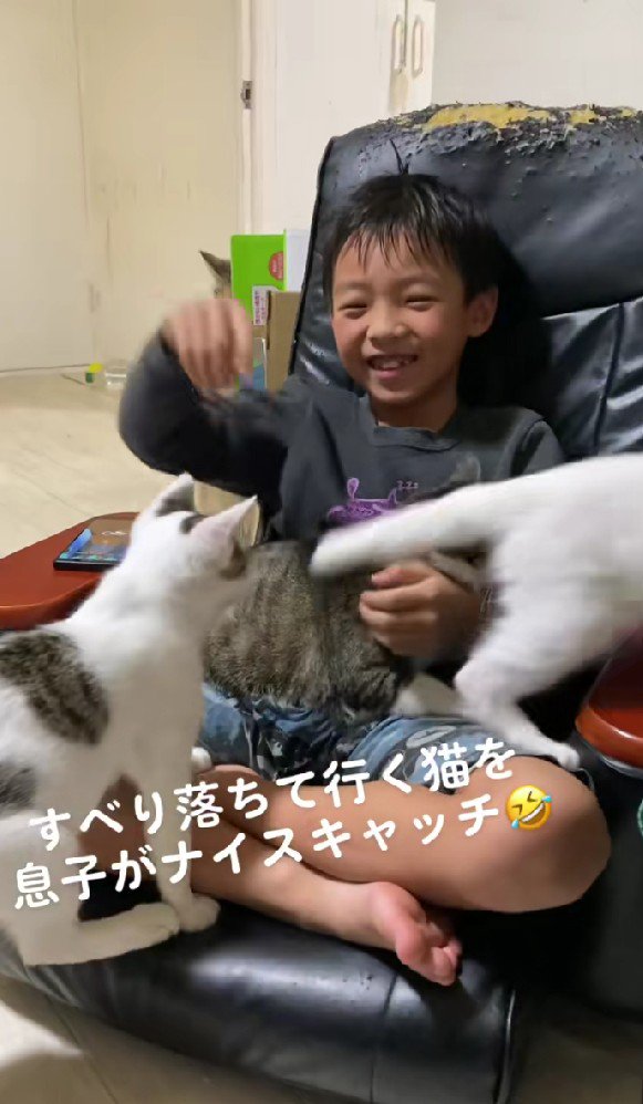 猫を膝にのせている男の子