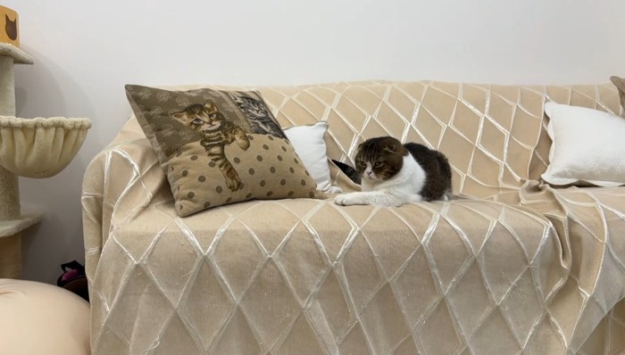 見守るぽこ太郎くん