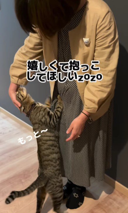 女性に甘える猫
