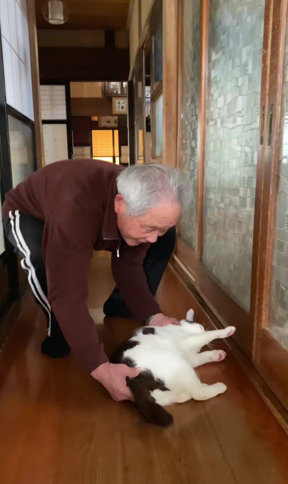 猫を抱き上げるおじいちゃん
