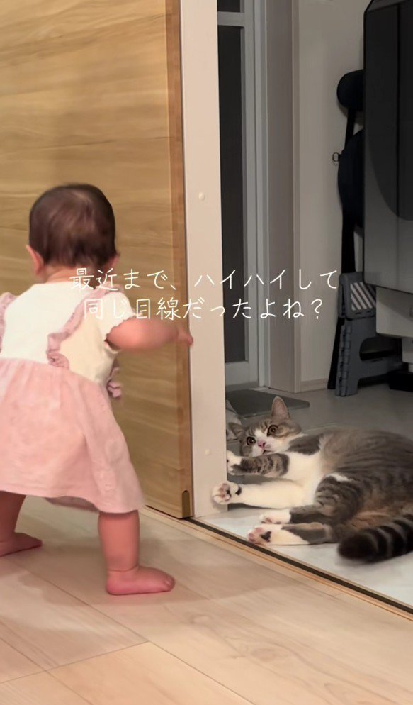 立っている赤ちゃんと驚いている猫