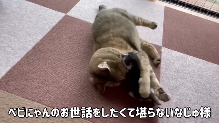 ケンタくんを抱きしめるなずなちゃん