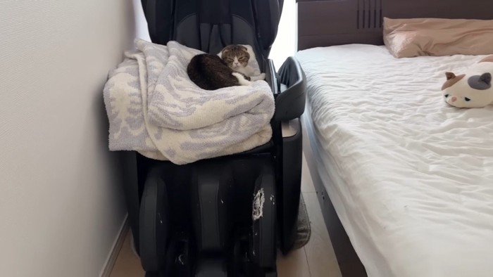 寛ぐぽこ太郎くん