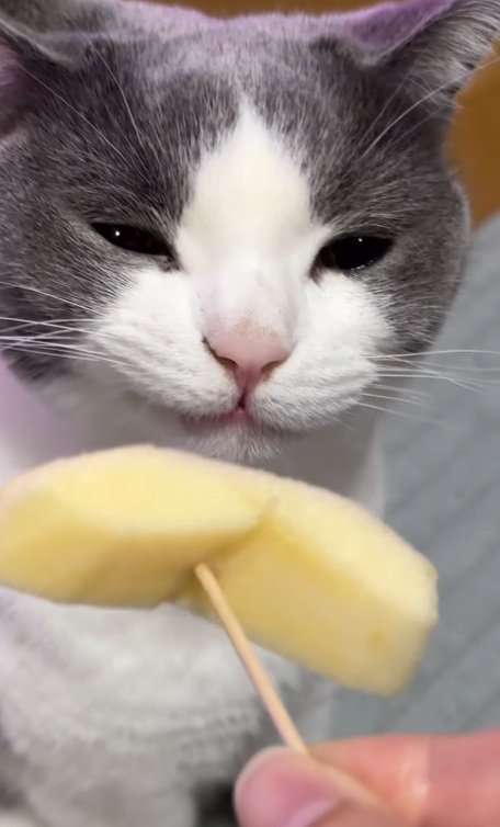 嫌そうな表情のそらくん