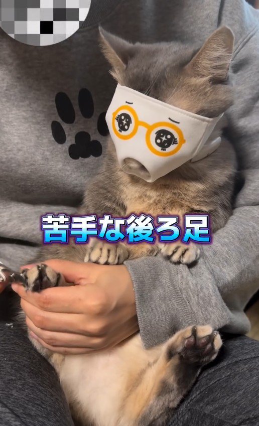 マスクをつけたココスくん