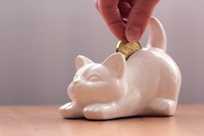 猫の貯金箱にコインを入れる