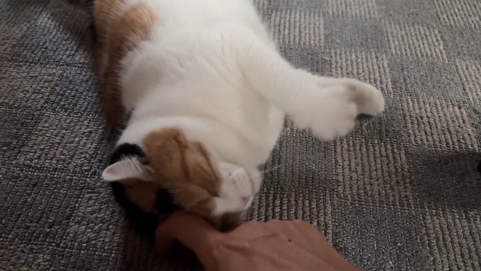 床でゴロン