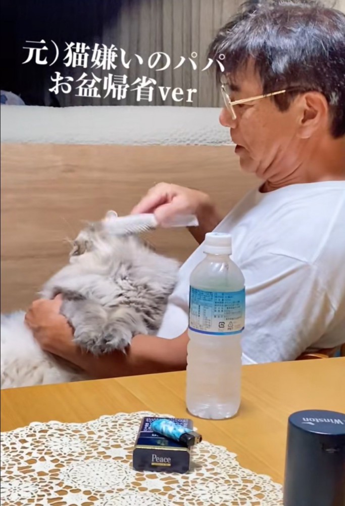 猫のブラッシング2