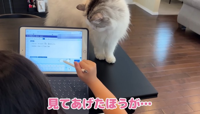 見てあげたほうが…