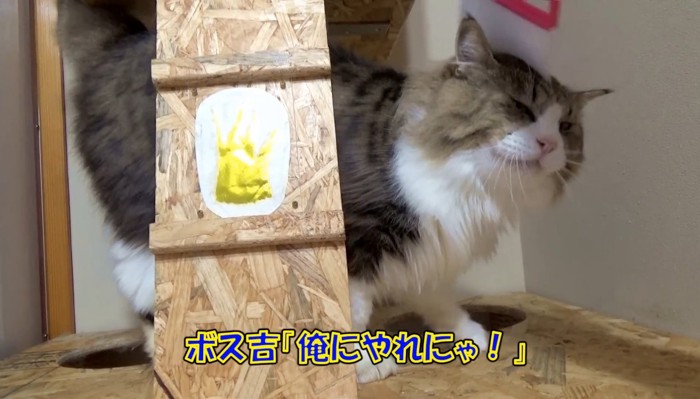 「俺にやれにゃ!」