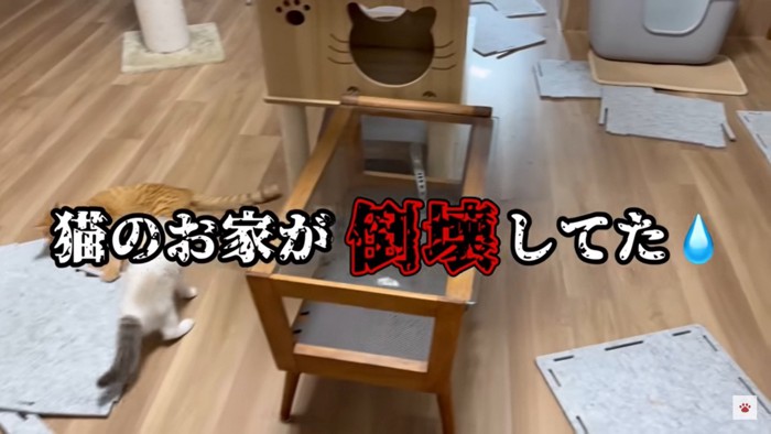 バラバラになったハウス