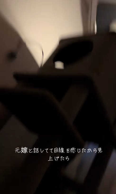 キャットタワーの下の部分