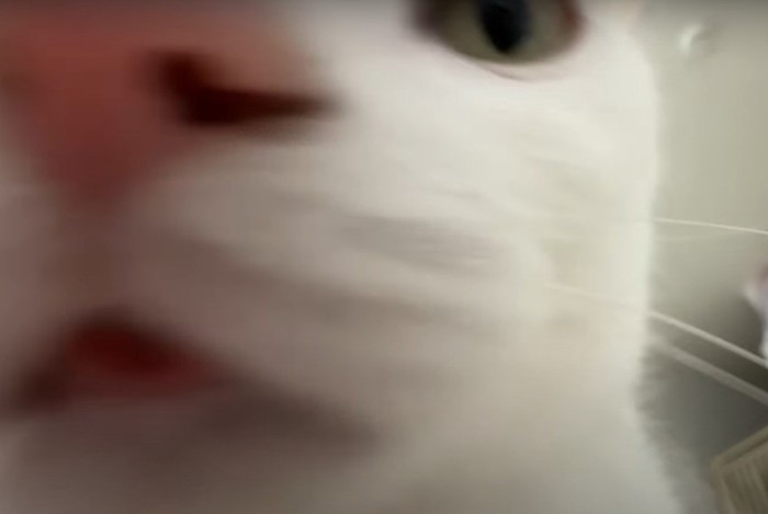 待ったました!のチロさん