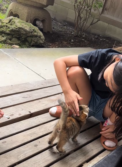 子どもの足元に体を寄せる子猫