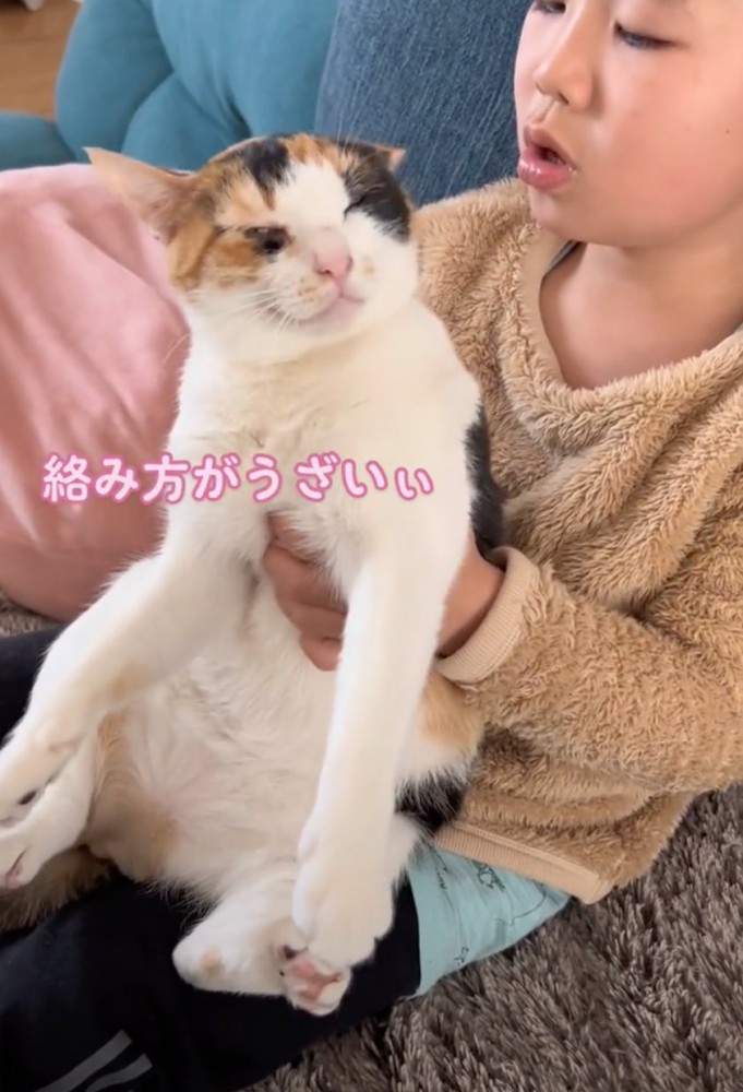 耳に息を吹きかけられて嫌がる猫