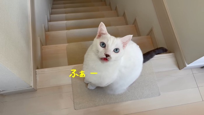 ふぁー