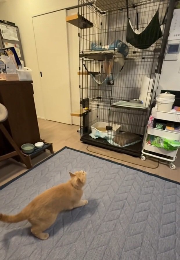 狙いを定める桐くん