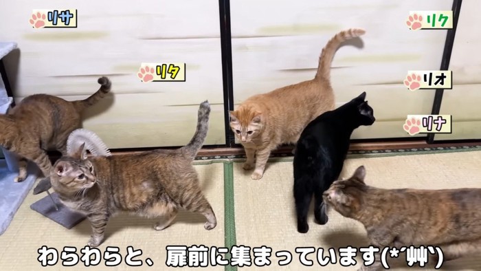 わらわらと