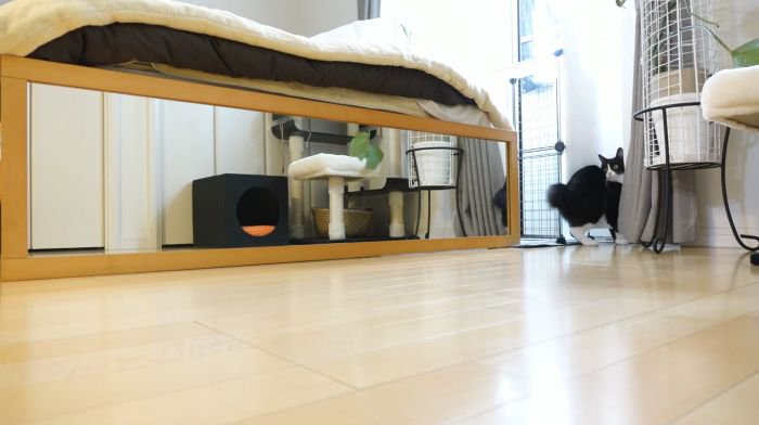おもちゃとれなくなったチコちゃん
