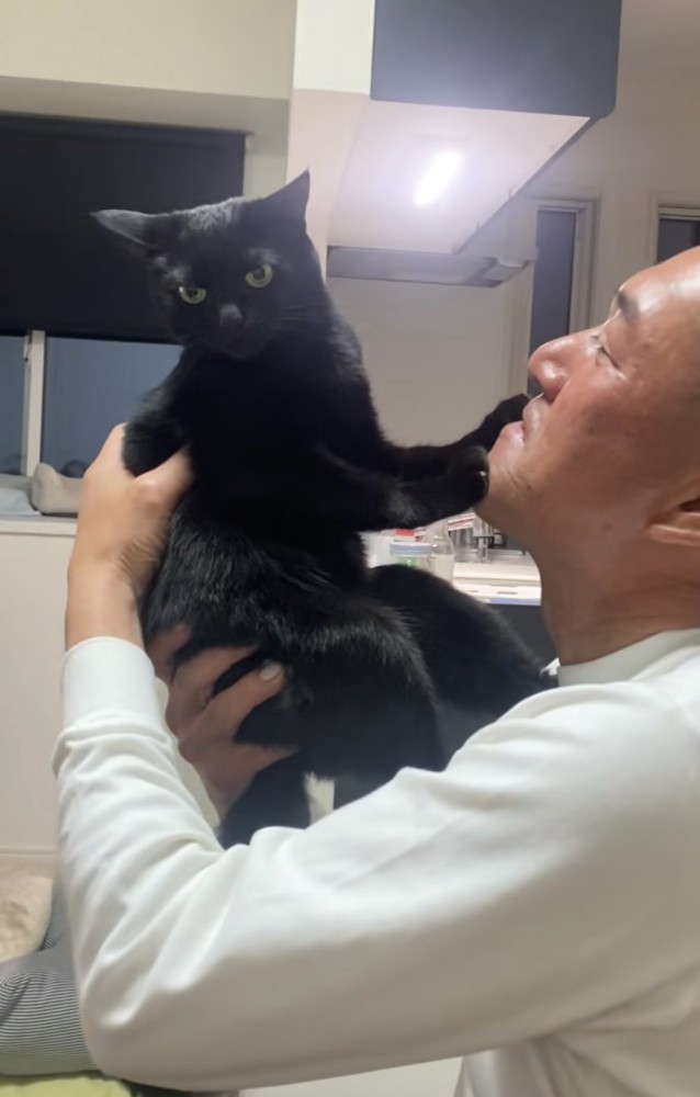 抱っこされる猫の写真1