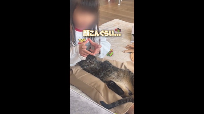 顔こんぐらい…