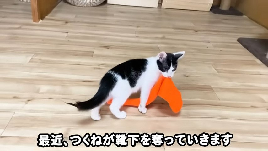 最近～奪っていきます