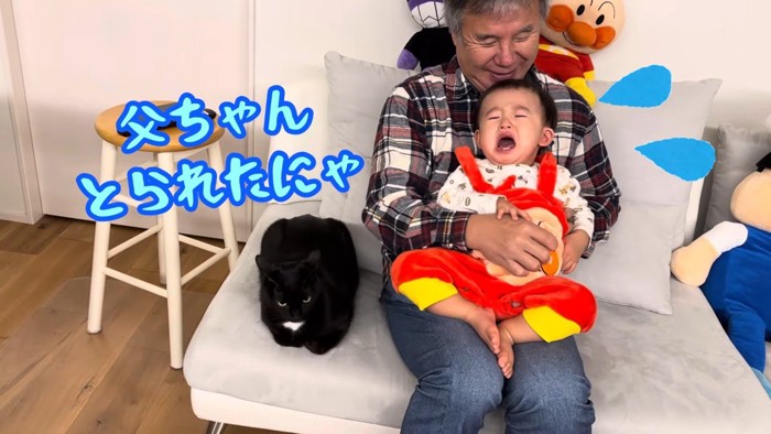 とられたにゃ
