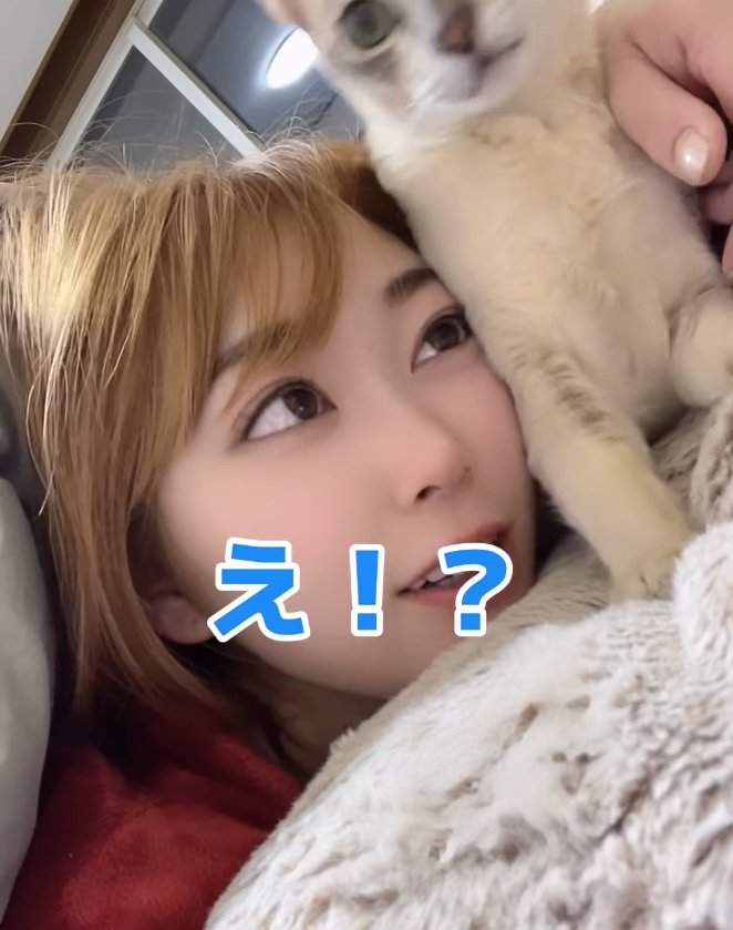 飼い主の顔の横で上半身を起こしている猫「え!?」