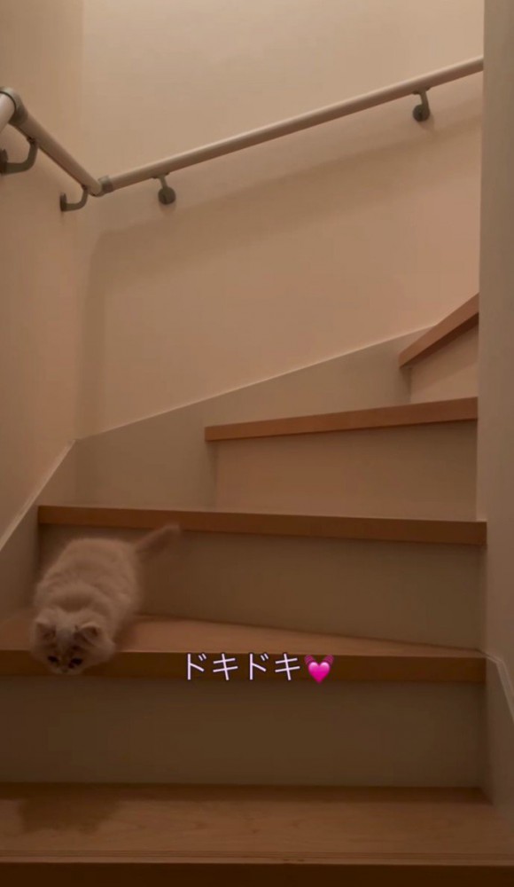 「ドキドキ」と書かれた写真